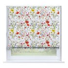 Полевые маки